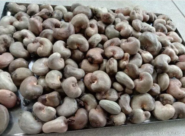 Premium Raw Cashew Nuts - Image 3