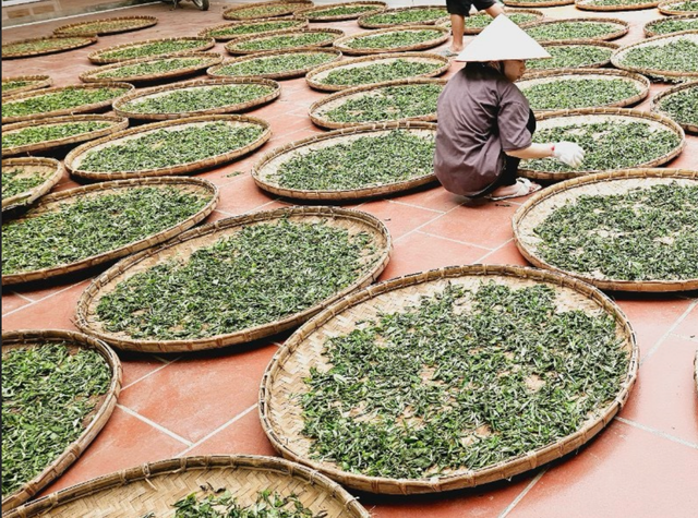 Tea Inspection Options Sunrise, Sgs, Cotecna, Vinacontrol Certifications Iso 22000:2018, Haccp, Fssc 22000, Fda, Halal Shipment Methods Sea Shipment In 20 Feet And 40 Feet - Image 2