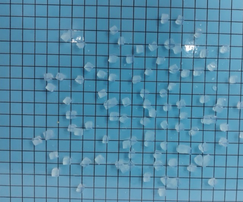 Nata de coco Size 5mm Brix 14-17 Solidity 75% Shelf Life 12 months Packing Bulk 10kg/bag/carton – 1500 Cartons/ 40’’dc Certifications Iso 22000:2018, Haccp, Fssc 22000, Fda, Halal - Image 1