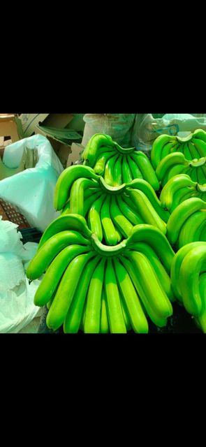 Fresh Banana - Trimurti agro farms - Image 2