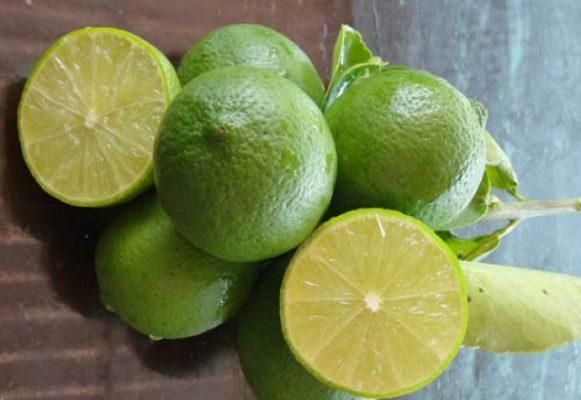 Song Nam Green Seedless Lime in VietNam Color xanh Place of Origin Viet Nam Brand Name Song Nam ITD Co., Ltd Availability Season Almost All Year Round - Image 1