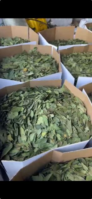 BAY LEAVES  Packaging - Image 4