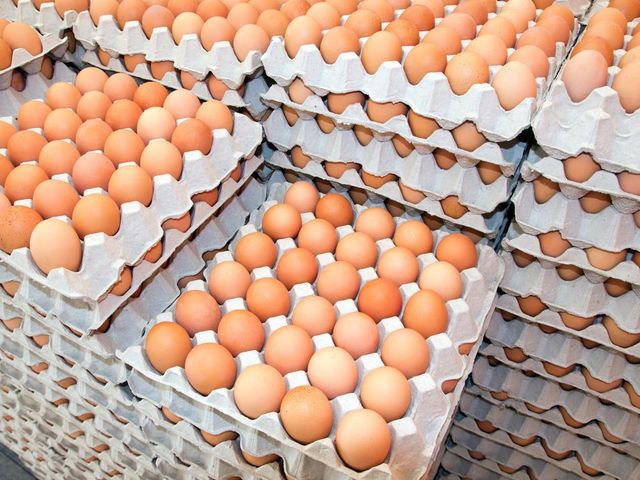 Wholesale Table eggs for Sale  Grade A Place of Origin UK Packaging Trays of - Image 1