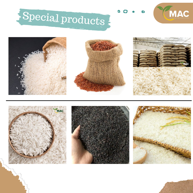 New season! Vietnamese fragrant rice Long grain white rice 5% grain Polished rice, high quality for export used to make cakes, cook rice, pho.... - Image 9