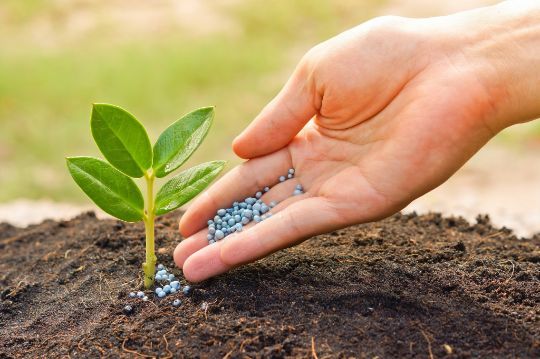 Mineral Fertilizers - Image 1