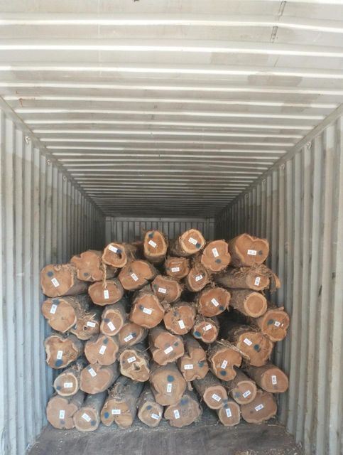 Teak wood logs Grade ABC Place of Origin Brazil Feature Dia: 20-25cm, - Image 1