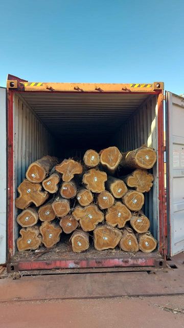 Teak wood logs Grade ABC Place of Origin Brazil Feature Dia: 20-25cm, - Image 2