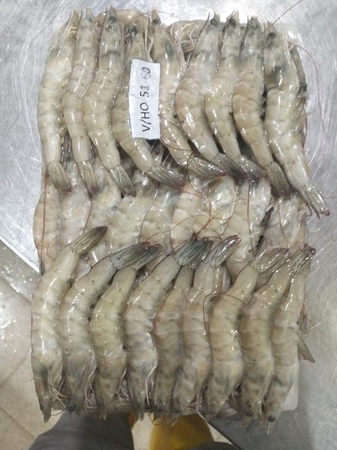 Premium Frozen Vannamei Shrimp (HOSO & PDTO) | Grade A Indonesian Origin | FOB Semarang - Image 4