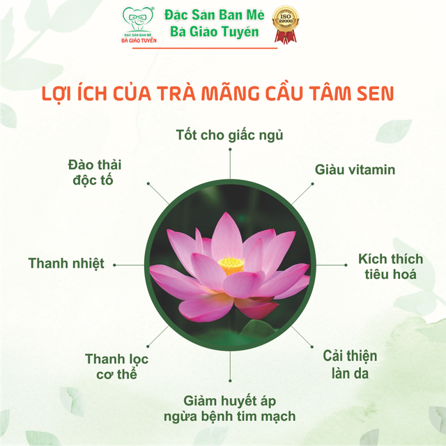 Bazan Đỏ Soursop Lotus Tea Bags: Soothing Blend, Nutrient-Rich - Image 3