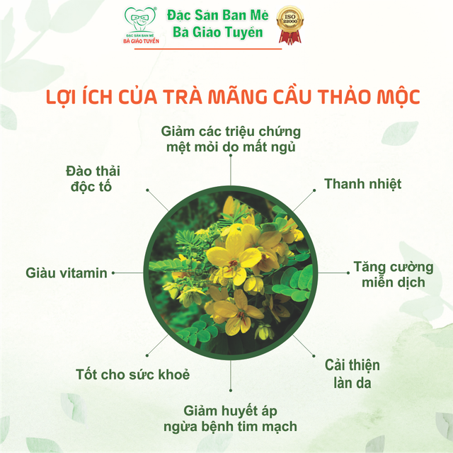 Bazan Đỏ Herbal Soursop Tea Bags (Box of 25): Refreshing and Antioxidant-Rich - Image 3