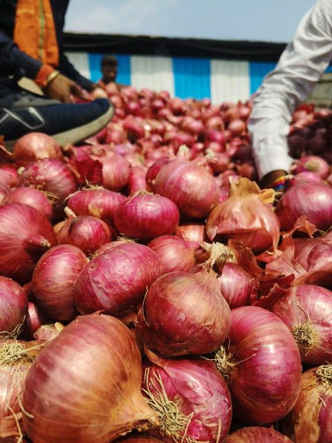 ONION Size 45TO 60 Color RED, PINK Quality EXPORT - Image 3