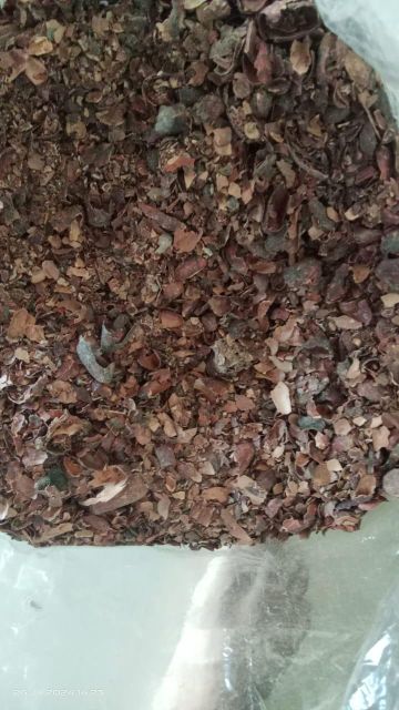 Cocoa bean, dried cocoa seed shell, and powder Grade A Type cocoa bean Packaging jute bag - Image 4