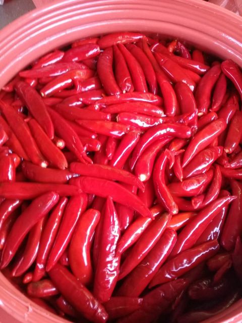 Preserved vegetables  – product photo 18, product detail gallery