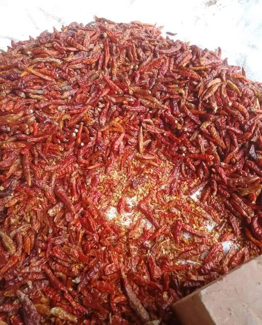 Dried Chilli - Image 3