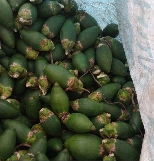 Raw Betel Nuts - Image 3