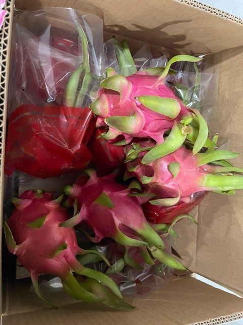 Dragon Fruit – product photo 3, product detail gallery