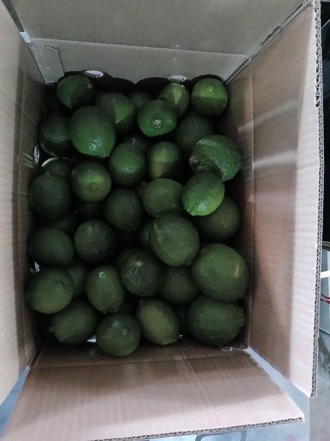 Fresh Green Pomelo Grapefruit Citrus fruit / Lime Seedless/ Dragon Fruits Whatsap 0084989322607 - Image 4