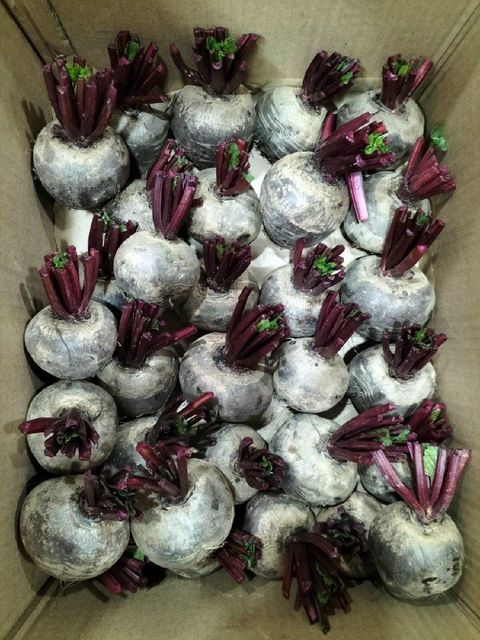 ORGANIC BEETROOT Packing Size 10 Kgs/box Tuber Count Per Kilogram 4 To 5, 5 To 6, 7 To - Image 1