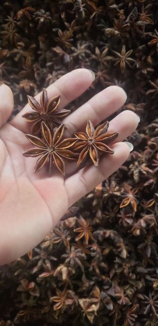 Star Anise - Image 3