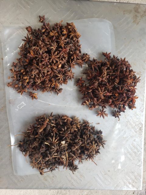 Star Anise - Image 9