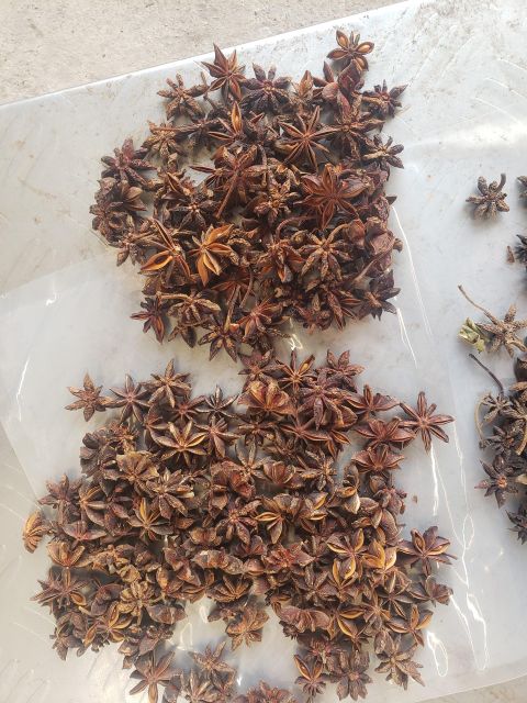 Star Anise - Image 7