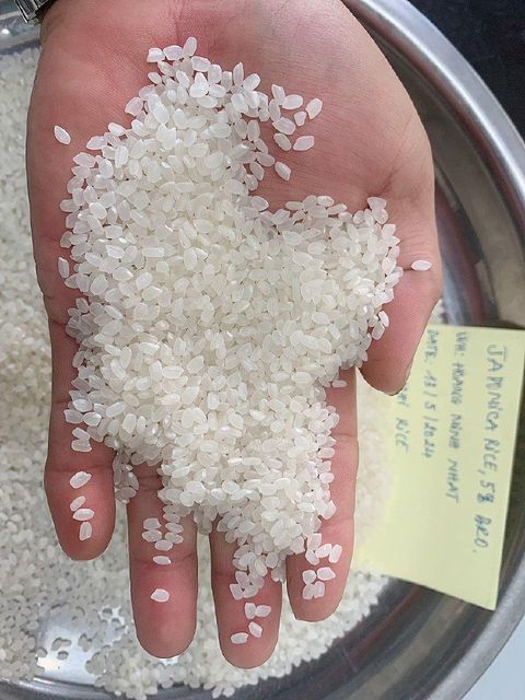 VIETNAM GROUND GRAIN JAPONICA WHITE RICE, 5% BROKEN - Image 3