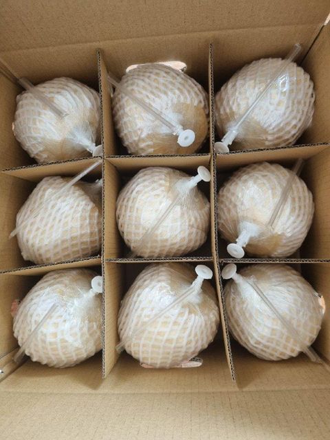 FRESH YOUNG COCONUT - Image 2