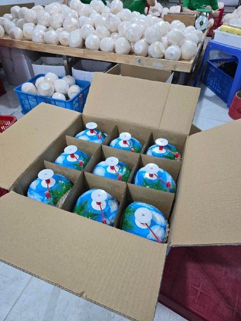 FRESH YOUNG COCONUT - Image 1