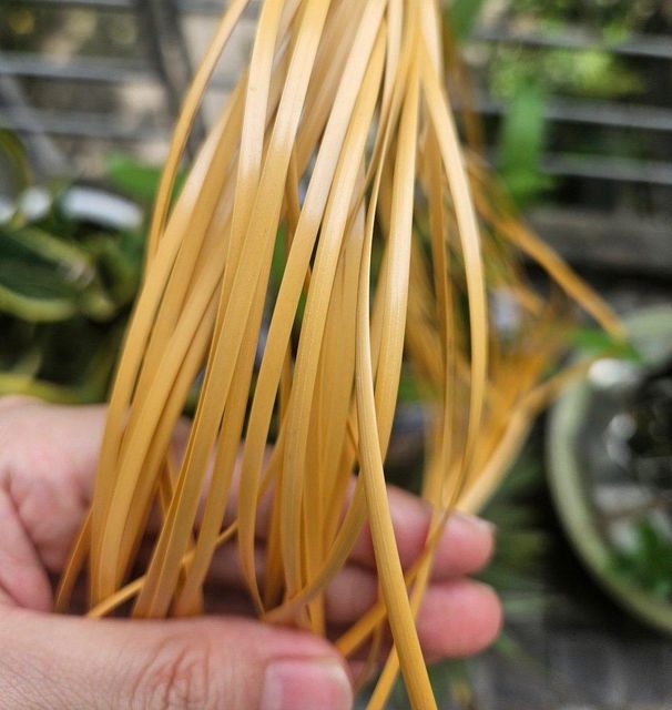 PE/ Plastic Rattan Webbing +84968142103 Grade A Length 15m Packaging PP bag Material Plastics Rattan Packaging Details PP bags - Image 3