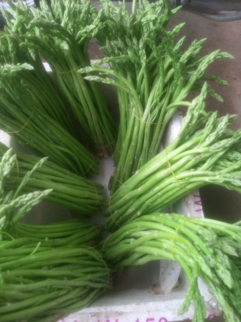 Hợp tác xã nông sản hữu cơ Bách Việt - Vietnam Fresh Asparagus - Image 4