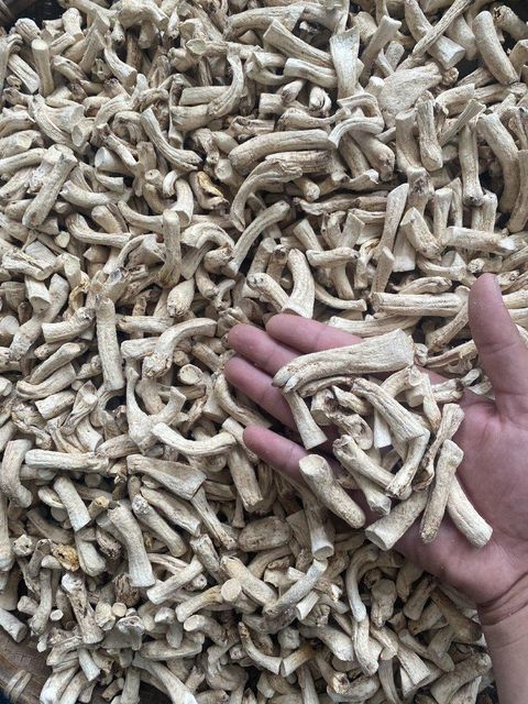 Viet Nam's Dried Shiitake legs Max. Moisture (%) 15 Drying Process Air dried Place of Origin Viet Nam - Image 4