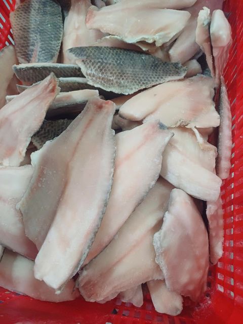 FROZEN TILAPIA FISH - Image 3