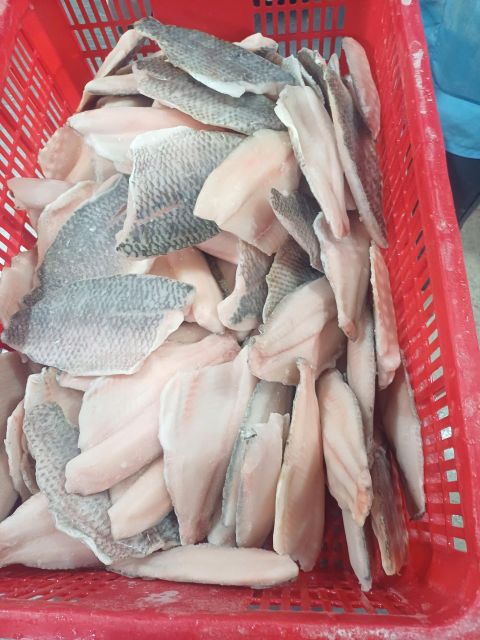 FROZEN TILAPIA FISH - Image 4