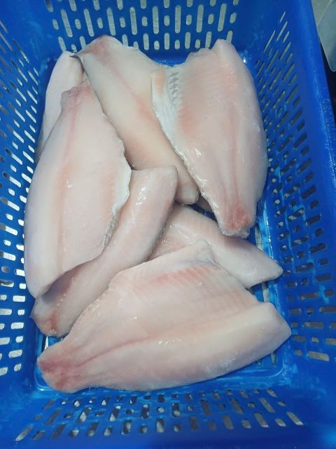 FROZEN TILAPIA FISH - Image 6