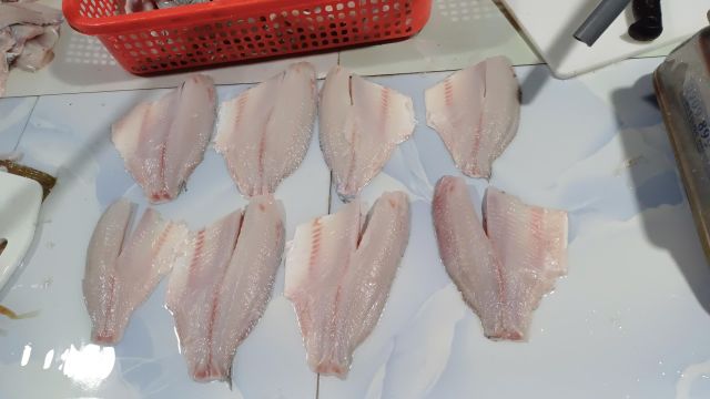 FROZEN TILAPIA FISH - Image 1