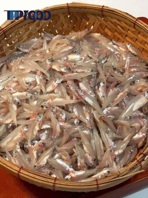 Wholesale Frozen Anchovy / RIVER ANCHOVY (KESKI) With High Quality From Vietnam - Image 4
