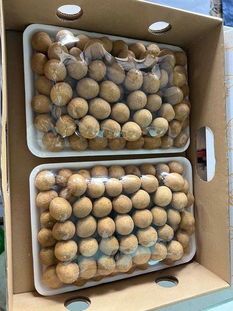 Premium Fresh Longan - High-Quality Selection Origin Vietnam Texture Translucent Flesh Weight Approx. 1kg Per Tray Flavor Honey-like - Image 1