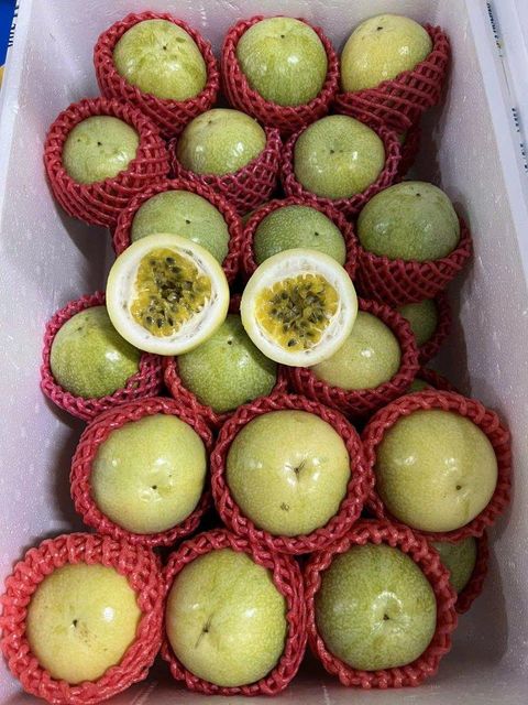 Premium Passion Fruit - Fresh & Juicy – product photo 1, product detail gallery