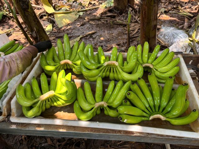 Company – photo 1 of 10, supplier detail gallery