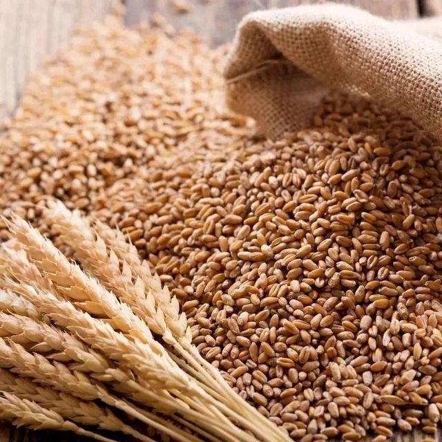 Wheat, corn, chickpeas, lentils, sunflower oil, coriander, flax seeds - Image 1
