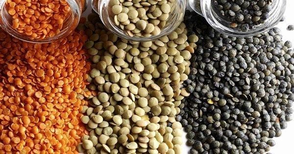 lentils - Image 1