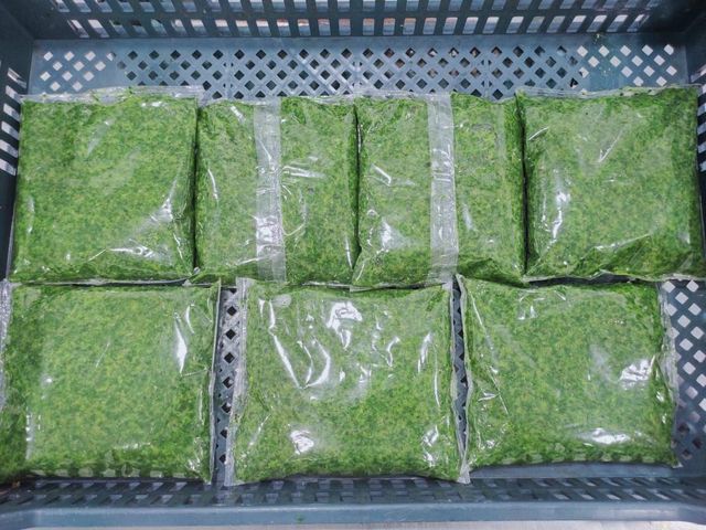 Frozen vegetables Grade A+ Shelf Life 18 months Packaging Products can be packed in bags for preserving frozen foods, with your brand and desired information on the bags, in the weights you - Image 5