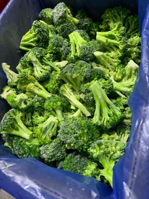 Frozen vegetables Grade A+ Shelf Life 18 months Packaging Products can be packed in bags for preserving frozen foods, with your brand and desired information on the bags, in the weights you - Image 4