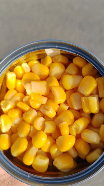 Canned Sweet Corn with High Quality - Image 4
