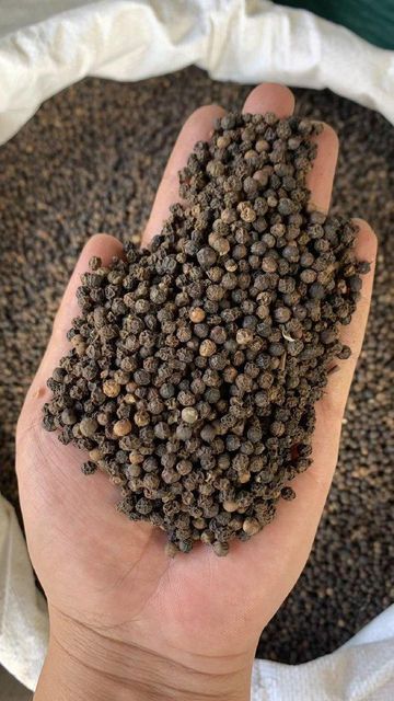Cumin seeds - Image 4