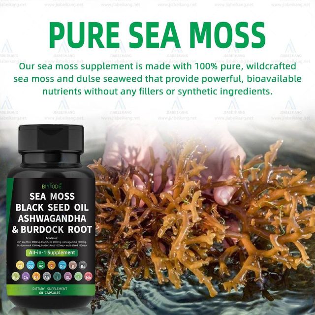hot sale herbal supplement immune health all in 1 wholesale sea moss black seed oil ashwagandha burdock root supplement weight loss capsule  - Image 3