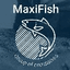 MAXIFISH LLC – company logo, company info header