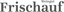 ERNST FRISCHAUF – company logo, company info header