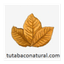 TU TABACO NATURAL – company logo, company info header