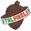 ITALPINOLI DEI F.LLI PADUANO S.R.L. – company logo, company info header